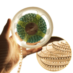 Fita LED 2835 Para Perfil Luz Branco Morno 4000k 5 Metros Com 120 LEDs/m 50w - LLTT283512040